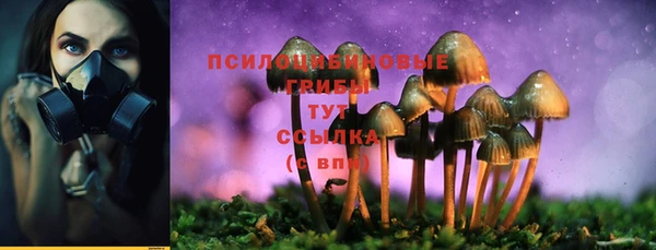 бошки Алзамай