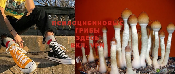 герыч Алексин