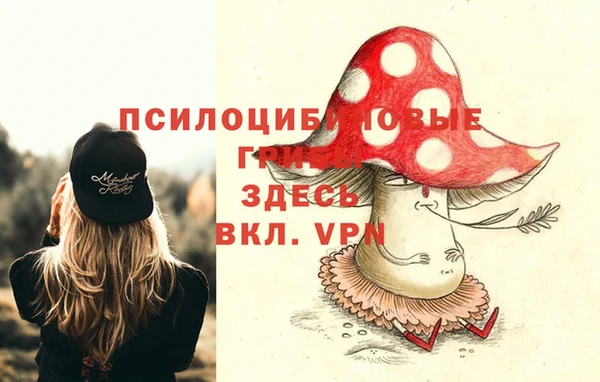 герыч Алексин
