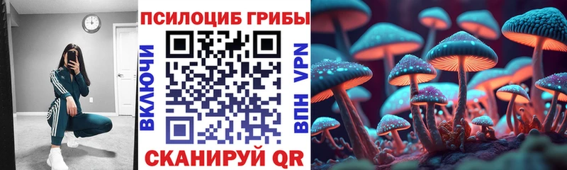 Псилоцибиновые грибы Psilocybe  Арск 